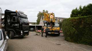 afvoeren van een berkenboom in udenhout rooien en kappen van bomen